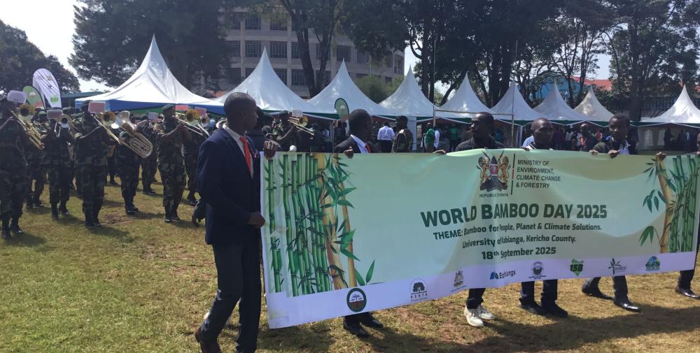 bamboo day