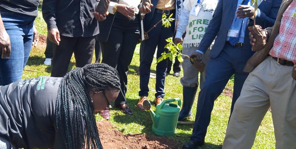 safcom_uok_tree_planting