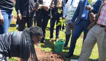 UoK and  M-Pesa Foundation Tree-Planting Initiative